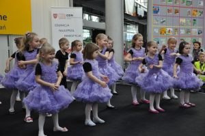 Targi - Sobótki 2017