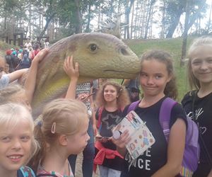 Akcja Lato 2018 - półkolonie turnus 2